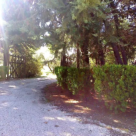 Agriturismo Il Capannaccio-2